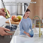 ijdd Commercial Pull Down Kitchen Faucet for Home Kitchens, Black