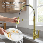 ijdd Commercial Pull Down Kitchen Faucet for Home Kitchens, Black