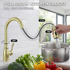 IJDD Pull Down Kitchen Faucet for Home Kitchens, Matte Black